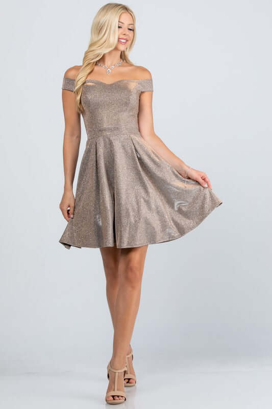 Off The Shoulder Skater Dress