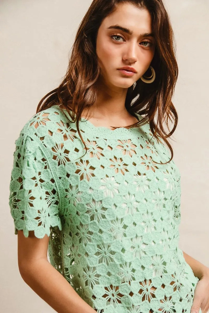 Openwork Crochet Short Sleeve Knit Top