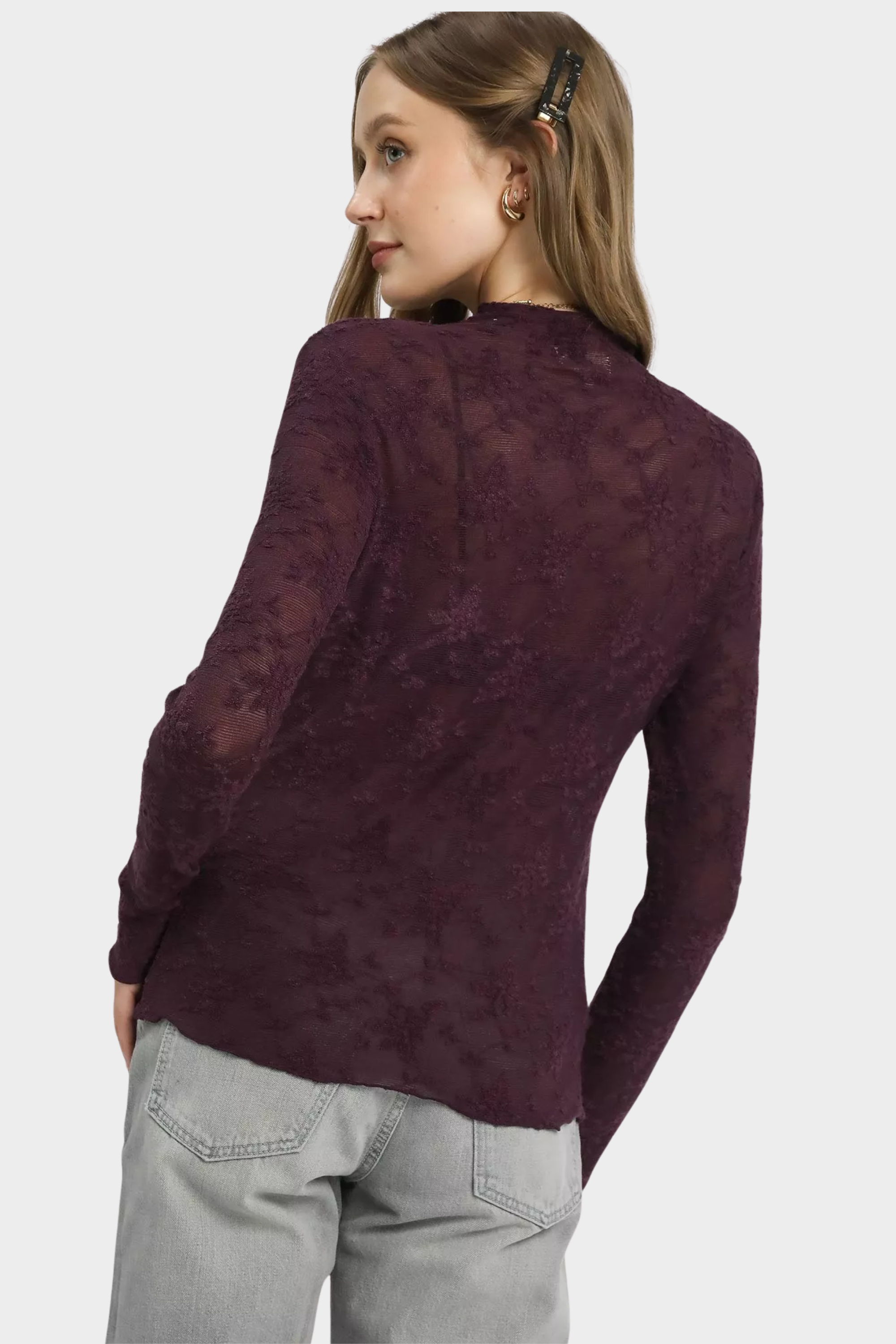 Lace Sheer Long Sleeve Top