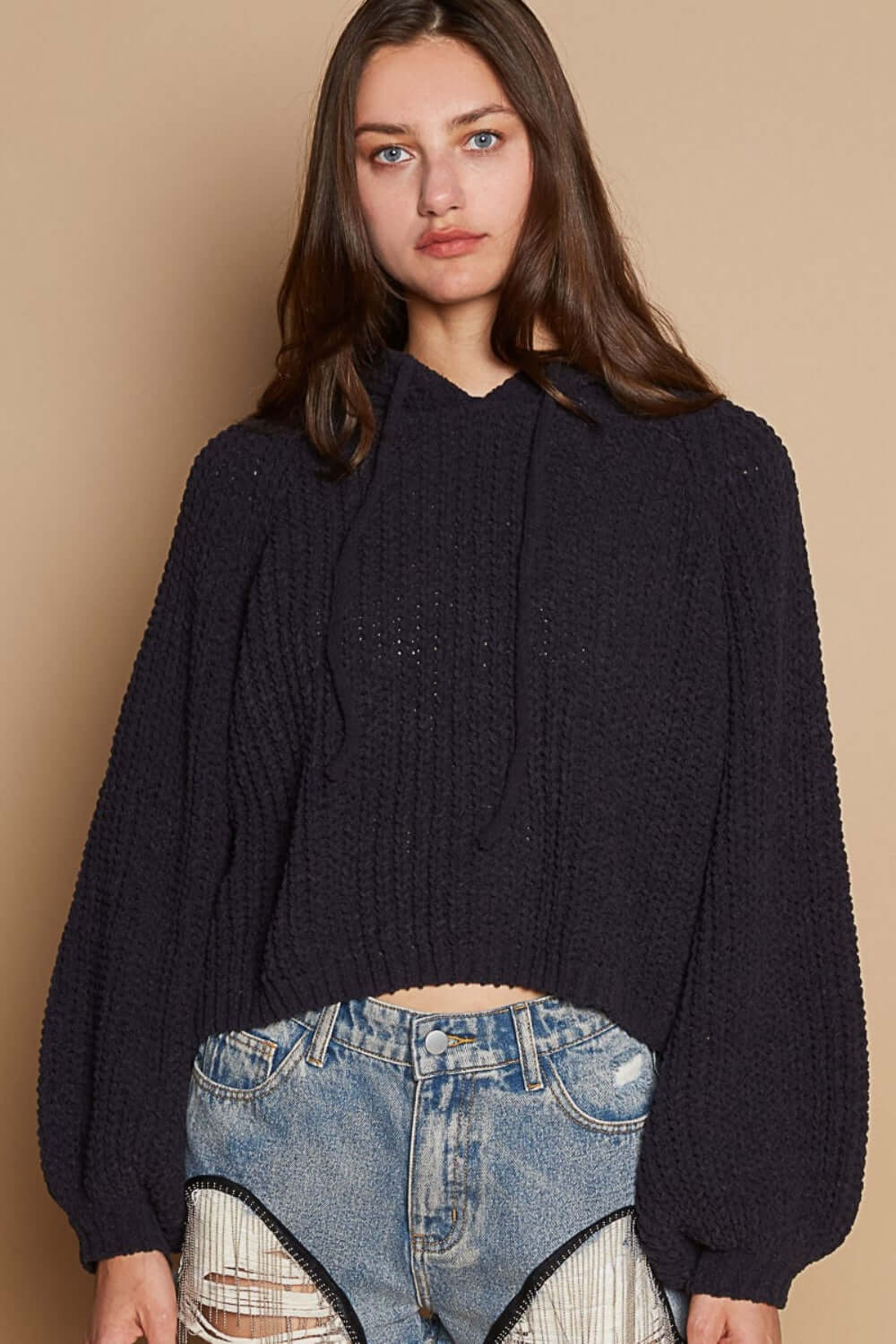 Balloon Sleeve Crop Hooded Sweater