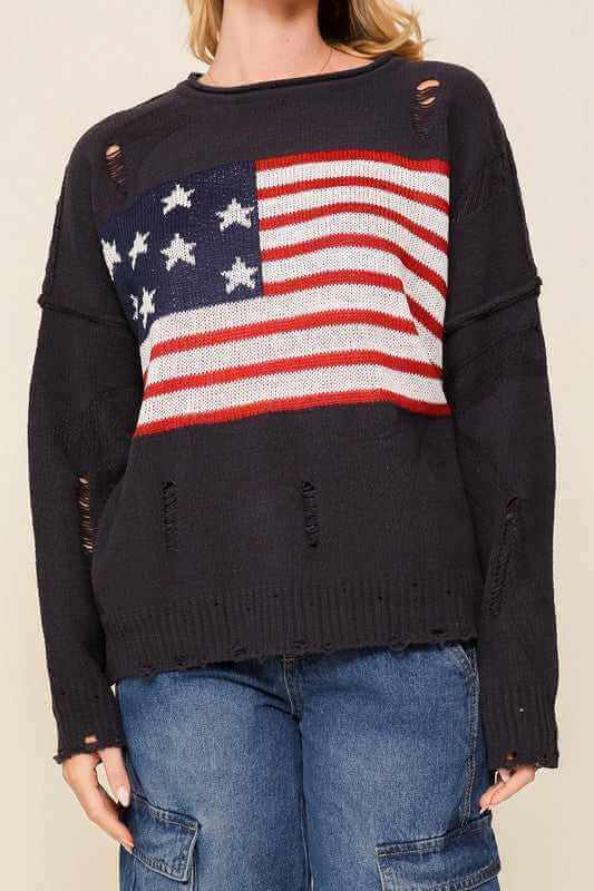 Distressed USA Logo Sweater - Rocca & Co